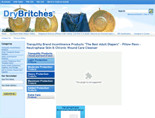 Tablet Screenshot of drybritches.com